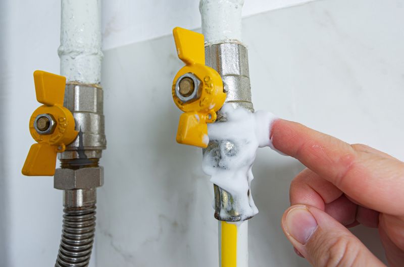 How Professional Plumbing Leak Detection Works